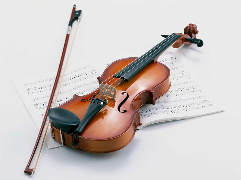 IMI Individual Violin Lessons Beginner-Grade3 2024-2025 Term1